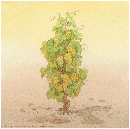 The Vine
