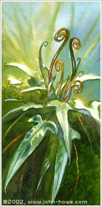 Athelas