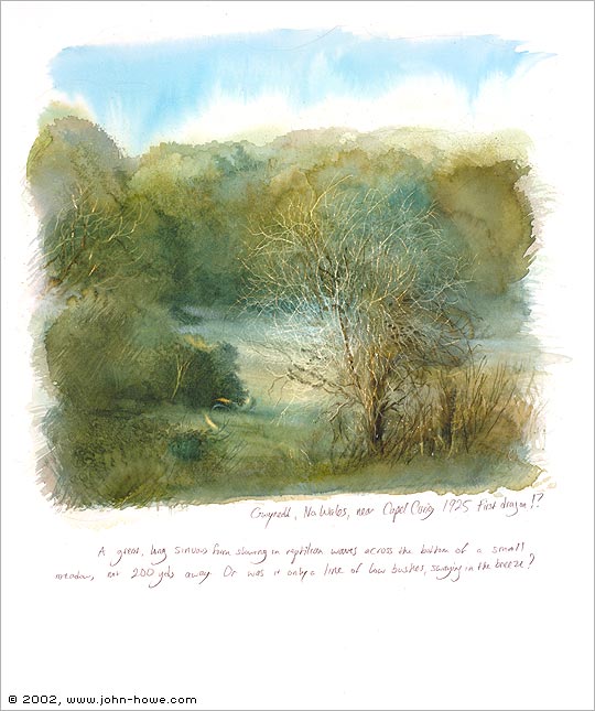 Field sketch