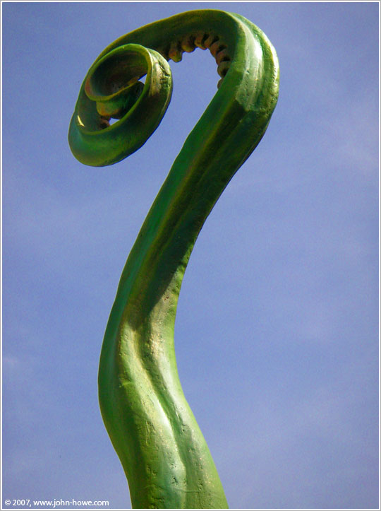 2007.06.30 - Saint-Ursanne: Fern