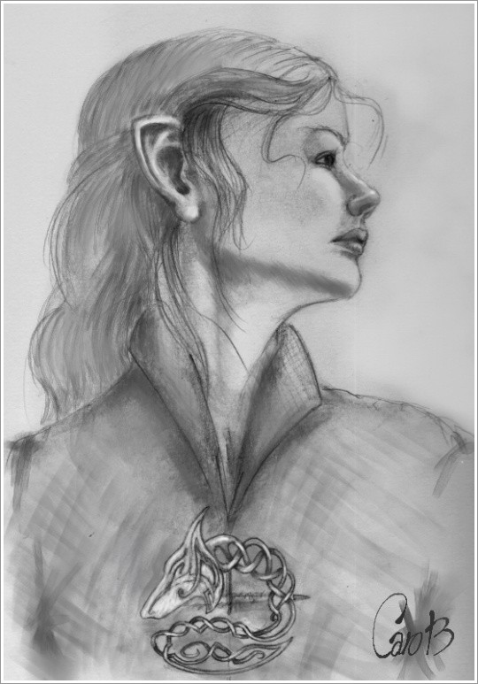2021.05 - CELTIC: Wolf