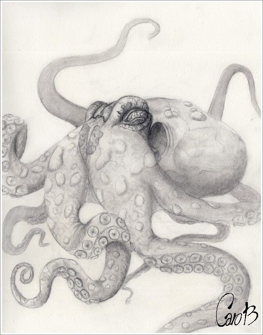 2020.09 -THE KRAKEN'S KIN- CREATURES OF THE DEEPS: Kraken
