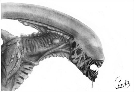 2020.11 - FROM OUTSIDE - CREATURES FROM OUTER SPACE: Xenomorph