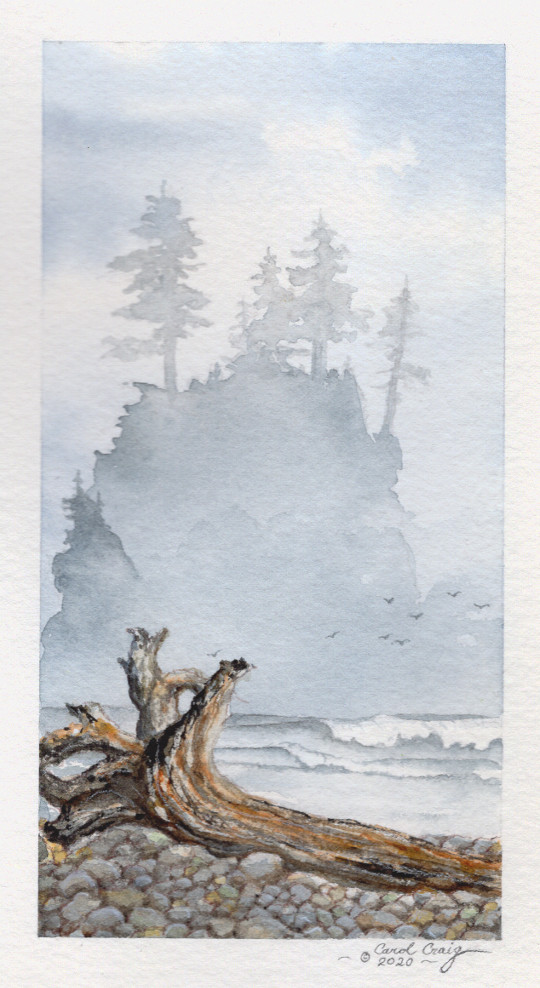 2020.05 - BY THE SHORE: San Juan Seashore