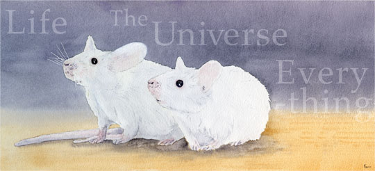 2020.11 - FROM OUTSIDE - CREATURES FROM OUTER SPACE: Frankie and Benjy