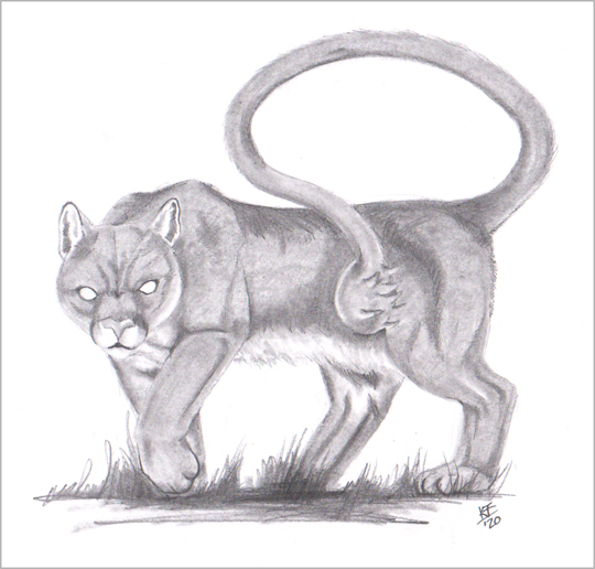2020.10 - CEREBUS' COMPANIONS - CREATURES OF THE UNDERWORLD: The Silvercat