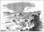 The Shire