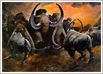 Aurochs and mammoths
