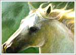 Shadowfax