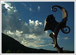 2007.07- Saint-Ursanne