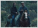 2004.10.24 - Horsing around
