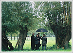 2004.10.14 - Old Man Willows