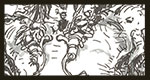 2020.03 - THE FOUR ELEMENTS - WATER: Creature of the sea