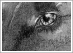 2020.04 - THE DARK SIDE: Black Cat