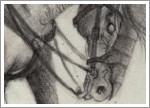 2021.07 - SADDLE UP: Black Rider