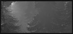 2020.11 - FROM OUTSIDE - CREATURES FROM OUTER SPACE: Greys