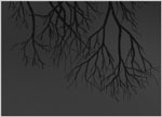 2020.12 - FROM THE DARK - CREATURES OF NIGHTMARES: From the grave