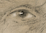 2020.04 - THE DARK SIDE: Sharkey