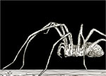 2020.12 - FROM THE DARK - CREATURES OF NIGHTMARES: Eye to Eyes