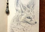 2021.01 - A NEW DAWN: A New Dawn - Fennec Fox