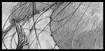 2020.01 - THE FOUR ELEMENTS - AIR: The Wind