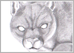 2020.10 - CEREBUS' COMPANIONS - CREATURES OF THE UNDERWORLD: The Silvercat