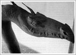2007.03.28 - Le Quotidien Jurassien