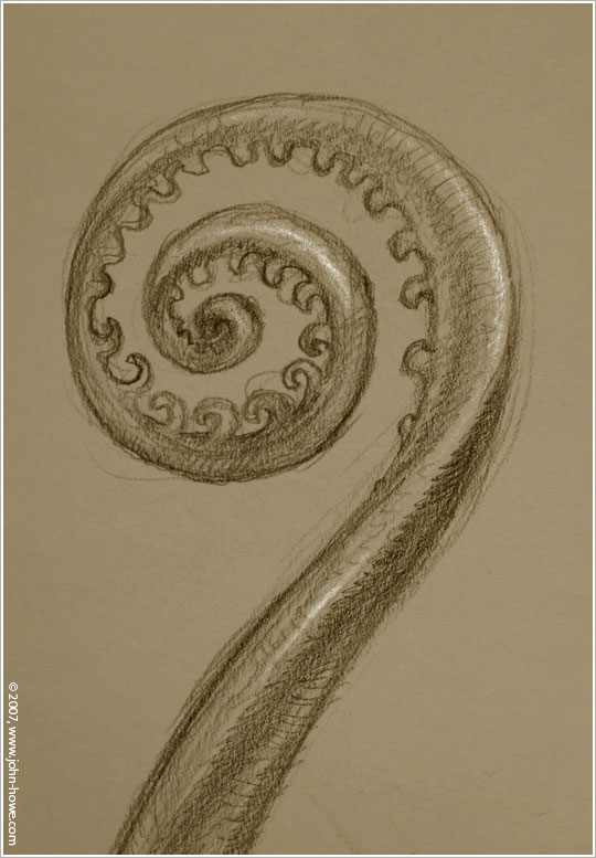 Saint-Ursanne - Fern