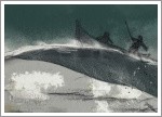 2021.08 - LARGER THAN LIFE: Moby Dick