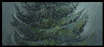 2021.03 - IT WAS A DARK AND STORMY NIGHT: A cold rain